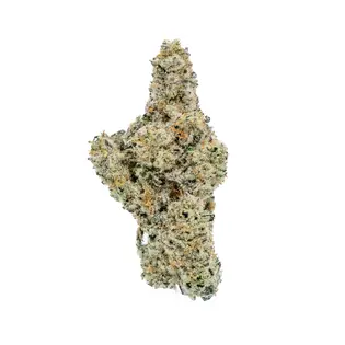 (g) Premier Tier - Star Fox