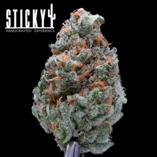 (each) Sticky Flower Pineapple Cake (H) 3.5g