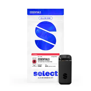 (each) SELECT | BRIQ ESSENTIALS RASPBERRY CRAVE 2G