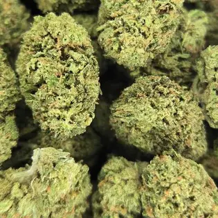 (g) Gas Puddle by 45th Parallel