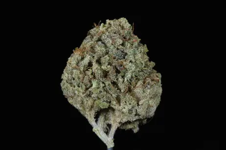 (g) Purple Berry Kush (30.03% THC)