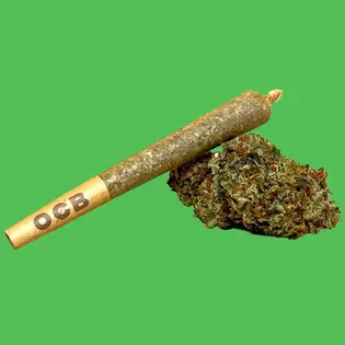 (each) Apple Fritter- Preroll