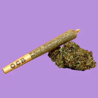 (each) Northern Lights - Preroll