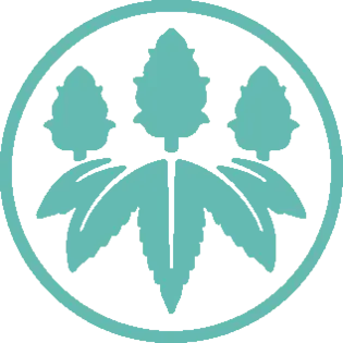 (g) Hellavated - Tropicalez Punch - Infused Preroll .75g