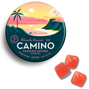 (each) Camino 100mg Bliss Watermelon Lemonade