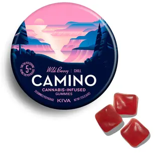(each) Camino 100mg Chill Wild Berry