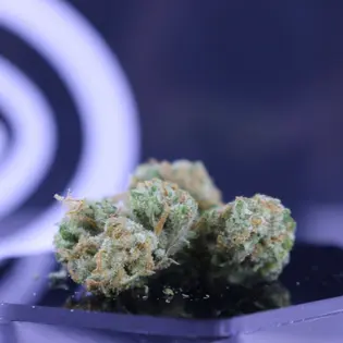 (g) Cereal Milk by Farmers First