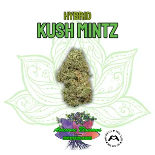 (g) Kush Mintz