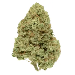 (g) Releaf Farms | Malo Chango