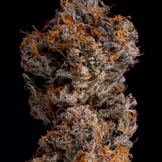 (g) 21 Carbon Flw #1773