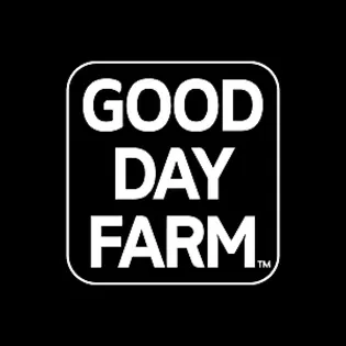 (each) Good Day | Blueberry x Watermelon Gushers Infused Joints | 4pk 0.5g