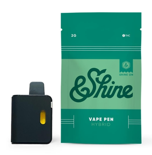 (each) Watermelon | Disposable | 2g