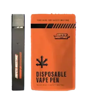 (g) DISPOSABLE | VIVID NIGHTS | .3G