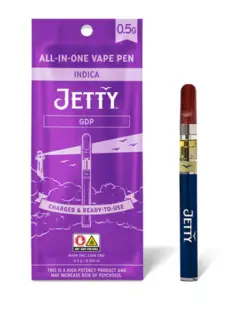 (g) GDP | 0.5 G | DISPOSABLE