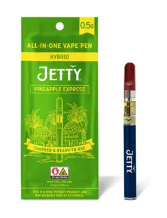 (g) PINEAPPLE EXPRESS | 0.5 G | DISPOSABLE